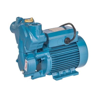 Pompe périphérique pour eau chaude Electromash IPLM 25/125, puissance 0,125 kW, débit 1800 l/h, hauteur manométrique 30 m - Electromash