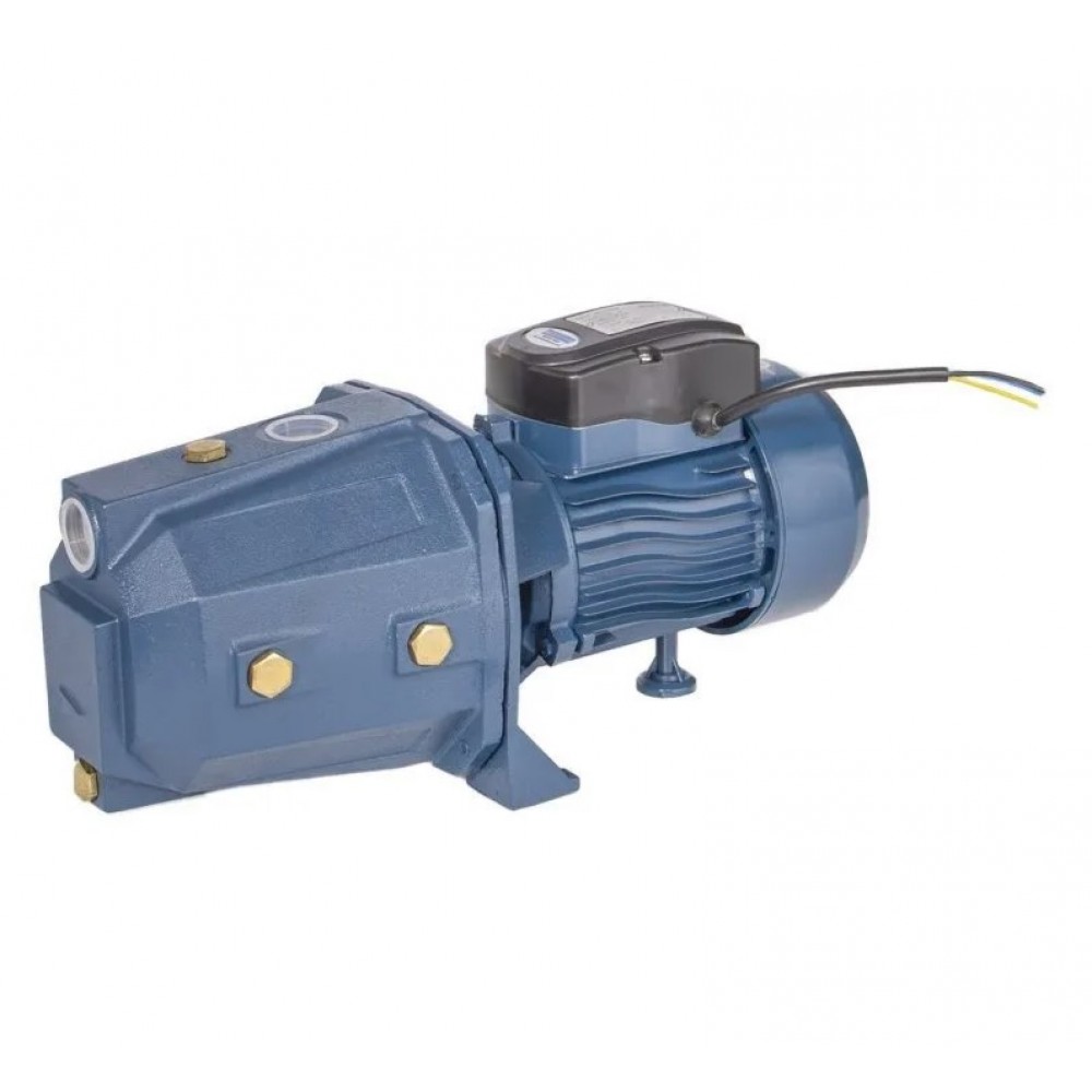 Pompe de jardin auto-amorçante Electromash ATLAS 125 – puissance 0.75 kW, débit 4200 l/h, hauteur manométrique 46 m. | Pompes a eau electrique | Pompe a eau |