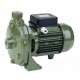 Pompe centrifuge SAER - CM1B pour jardins, puits, et plus encore. |  |  |