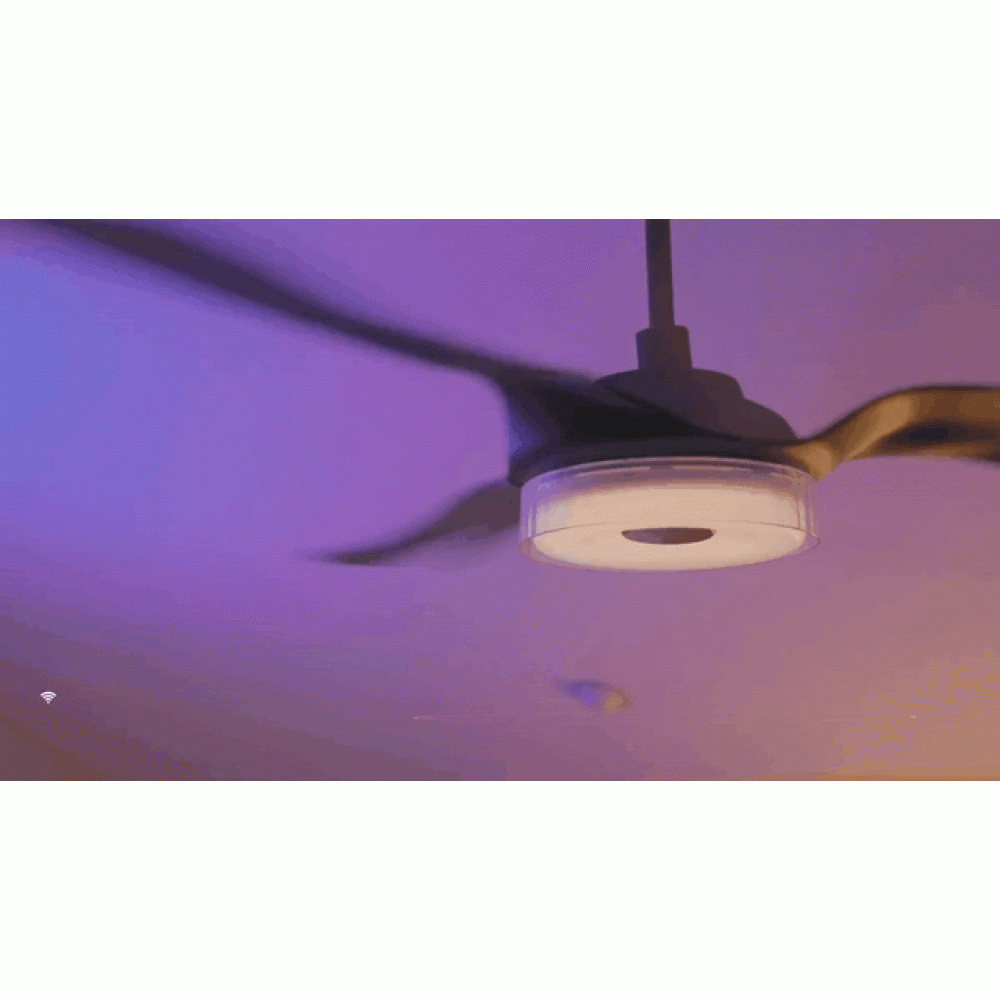 Ventilateur plafond avec Wi-Fi et télécommande Telemax CES565SL, 142cm | Ventilateurs plafond | Ventilateurs |