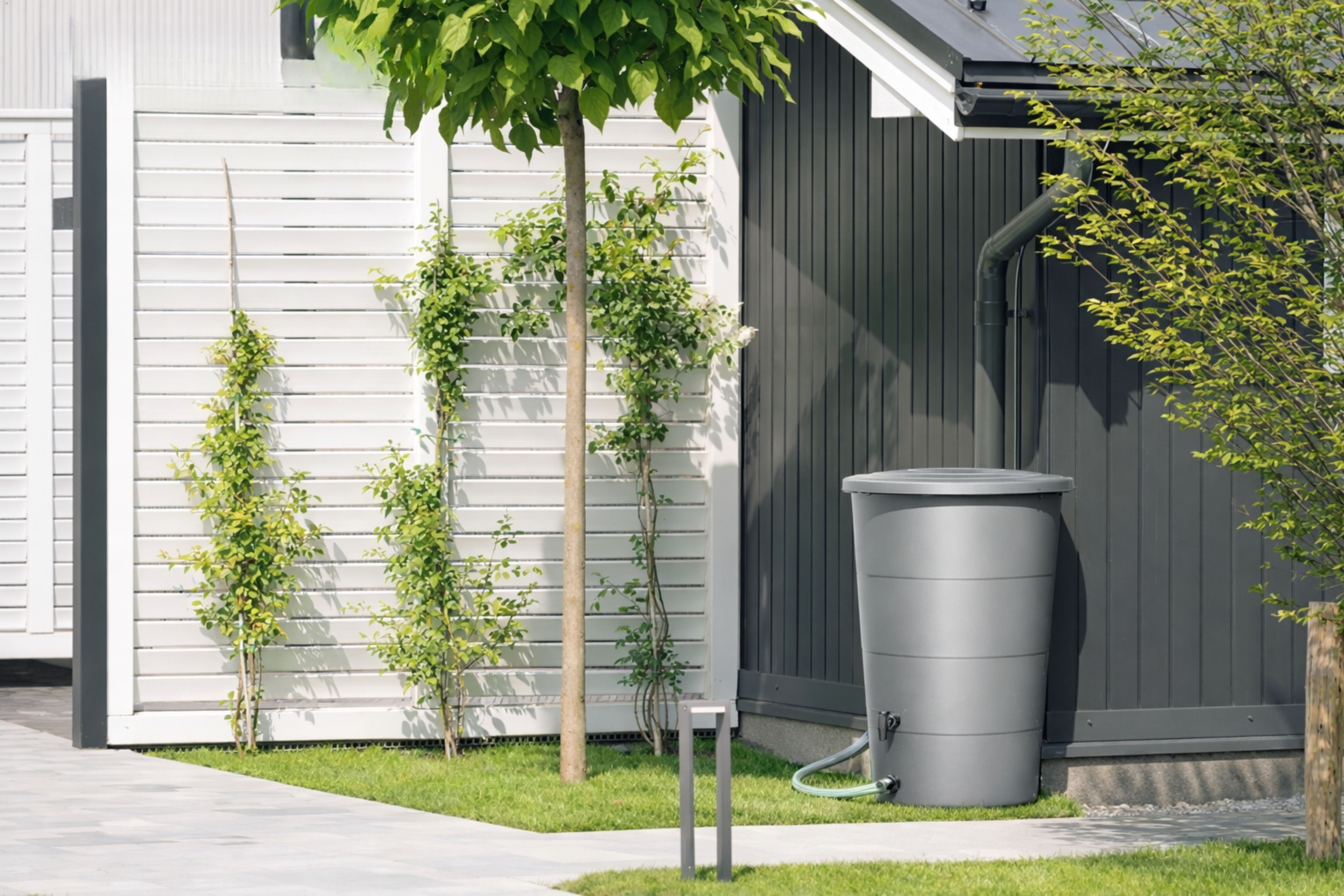 Réservoir d'eau de pluie